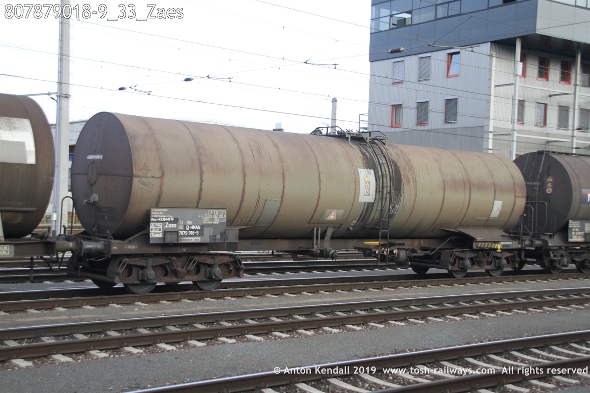 807879018-9_33_Zaes.JPG